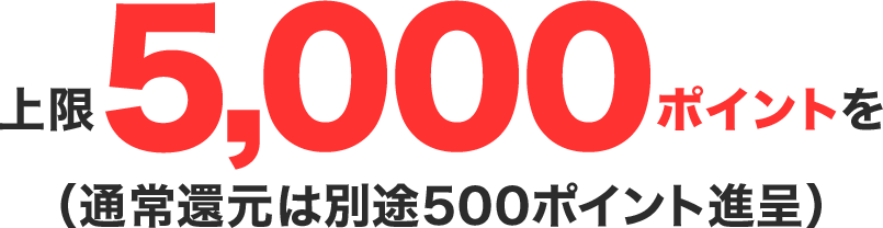 上限5,000ポイントを(通常還元は別途500ポイント進呈)
