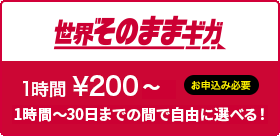 世界そのままギガ 1時間 ¥200 ほか お申込み必要 使い方に合わせてプランが選べる!